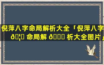 倪萍八字命局解析大全「倪萍八字 🦉 命局解 🐘 析大全图片」